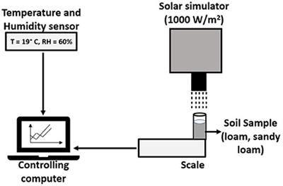 Investigating a microbial approach to water conservation: Effects of Bacillus subtilis and Surfactin on evaporation dynamics in loam and sandy loam soils